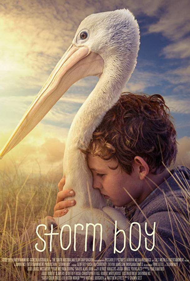 Фильм Штормовой мальчик (2019) смотреть онлайн в качестве FHD